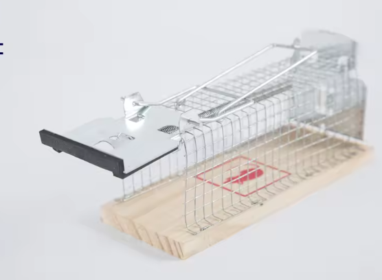 Humane Live Mouse Trap Cage No Kill Catch Mice Rat Cage Garden Rodent Control Tools