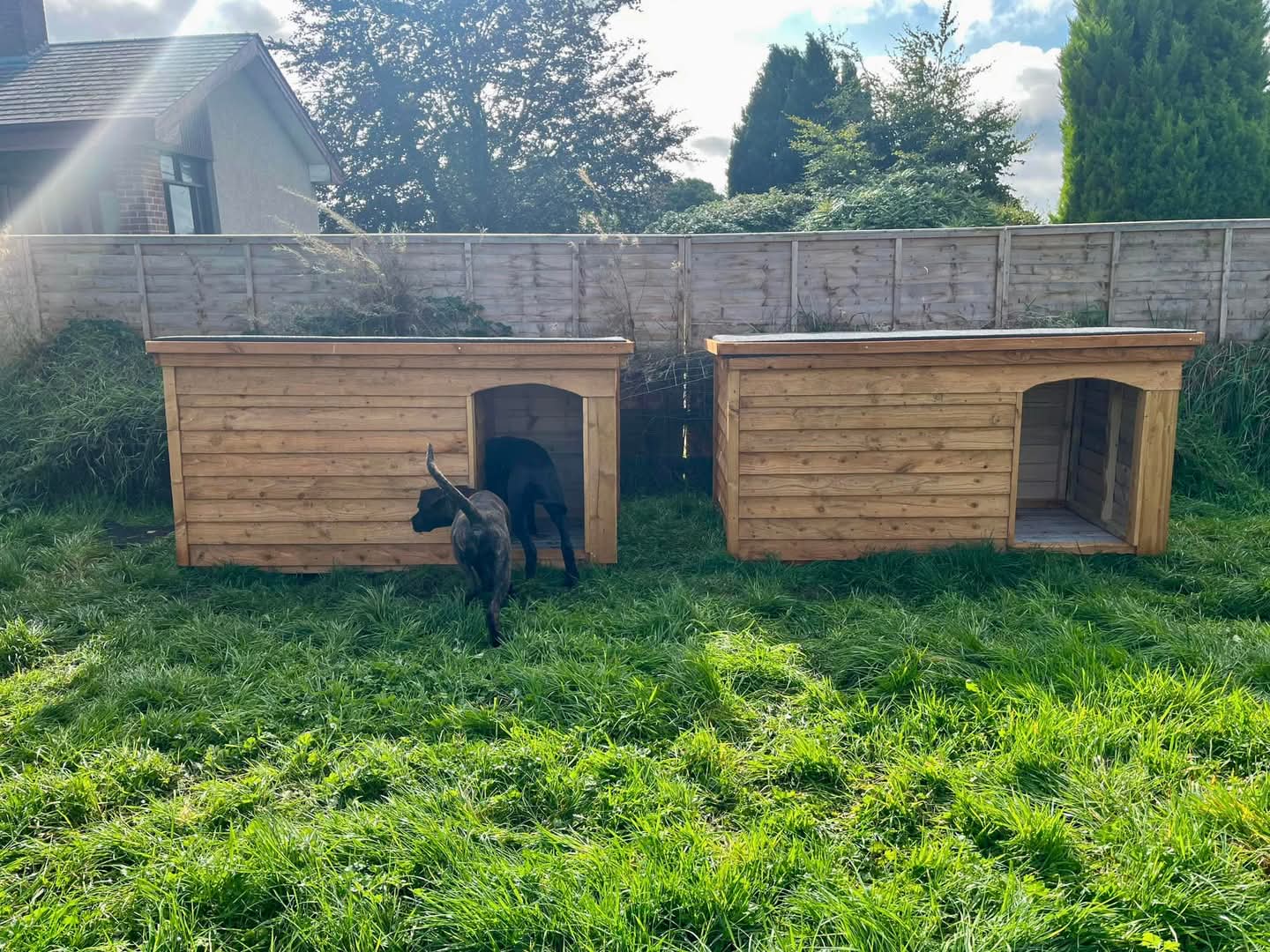 XL Dog Kennel with a porch, Extra Large