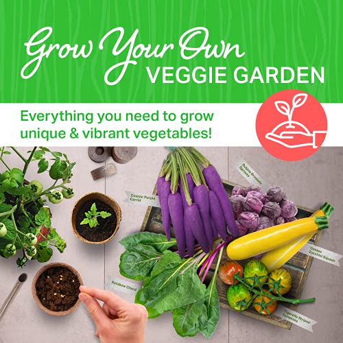 Plant Theatre Vegetable Seeds - Funky Veg Kit w/ 5 Seed Sachets, Pots, Peat Discs & Markers - Indoor and Outdoor Grow Your Own Kits - Gardening Gifts for Men and Women