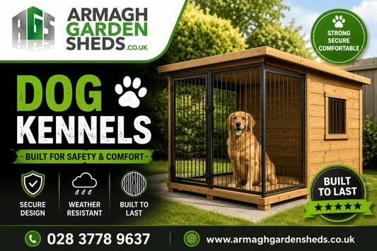 Dog Kennels in Bangor