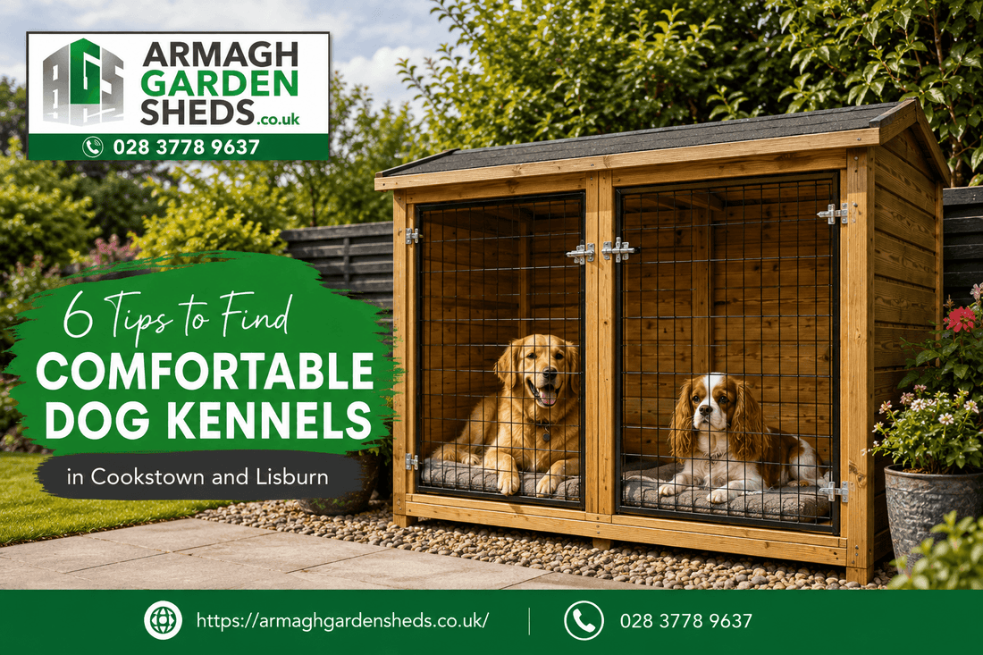 Dog Kennels in Cookstown