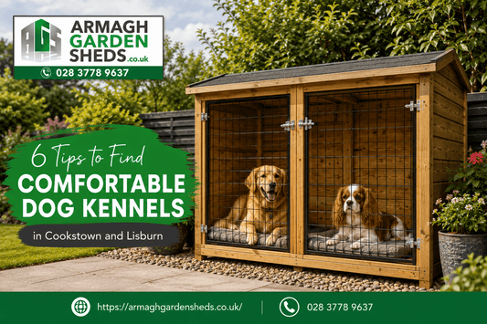 Dog Kennels in Cookstown