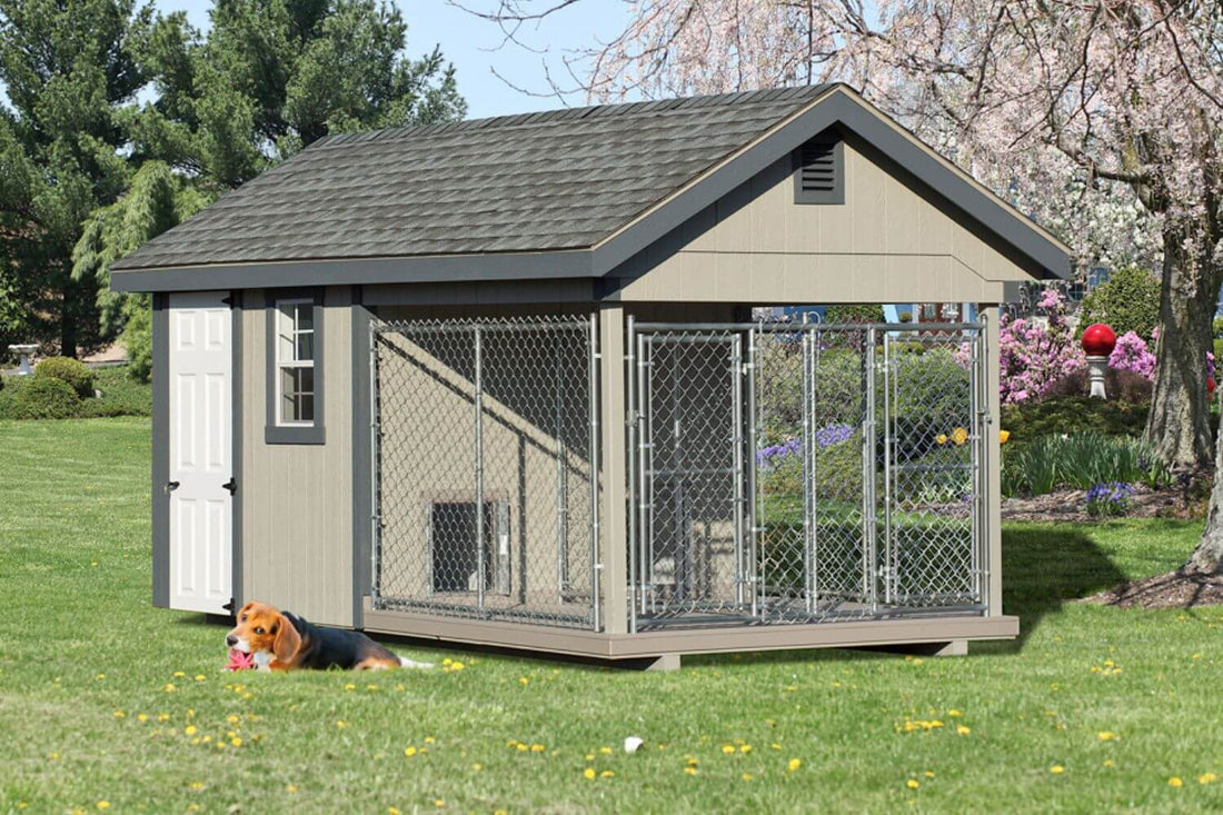 Dog Kennels in Dundalk
