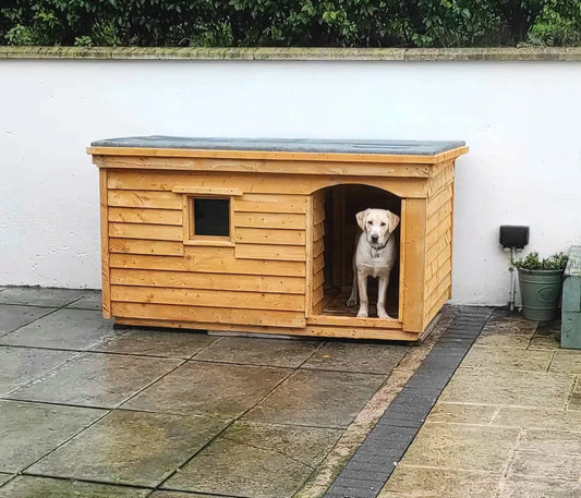 8 Things to Consider When Buying Dog Kennels in Northern Ireland
