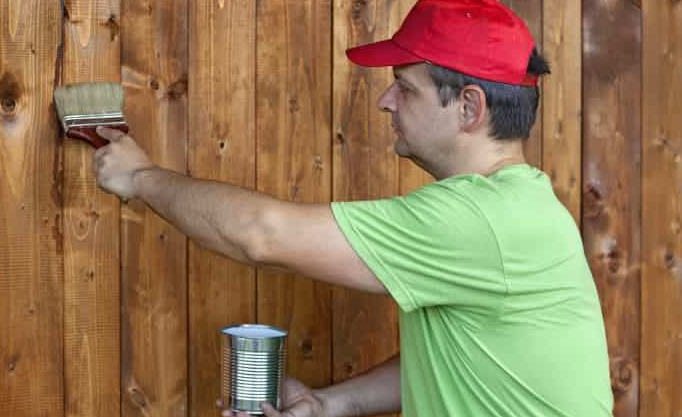 How Do You Keep Mould Out of a Wooden Shed?