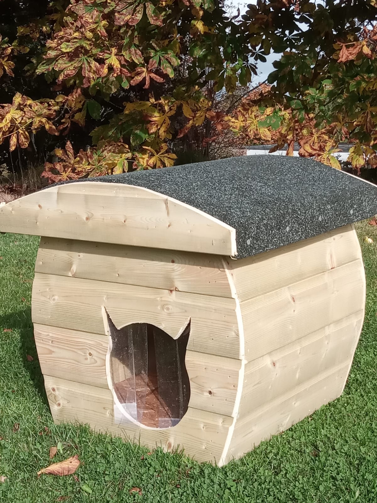 Cat house / Cat Box