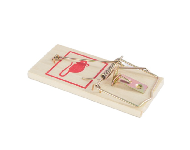 5 pack of traditional wooden mouse traps