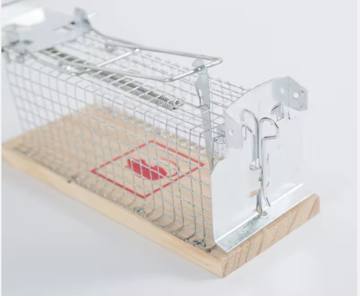 Humane Live Mouse Trap Cage No Kill Catch Mice Rat Cage Garden Rodent Control Tools