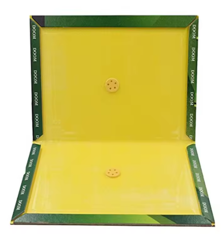 XL mouse and rat glue trap packet of 5