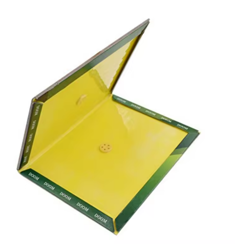 XL mouse and rat glue trap packet of 5