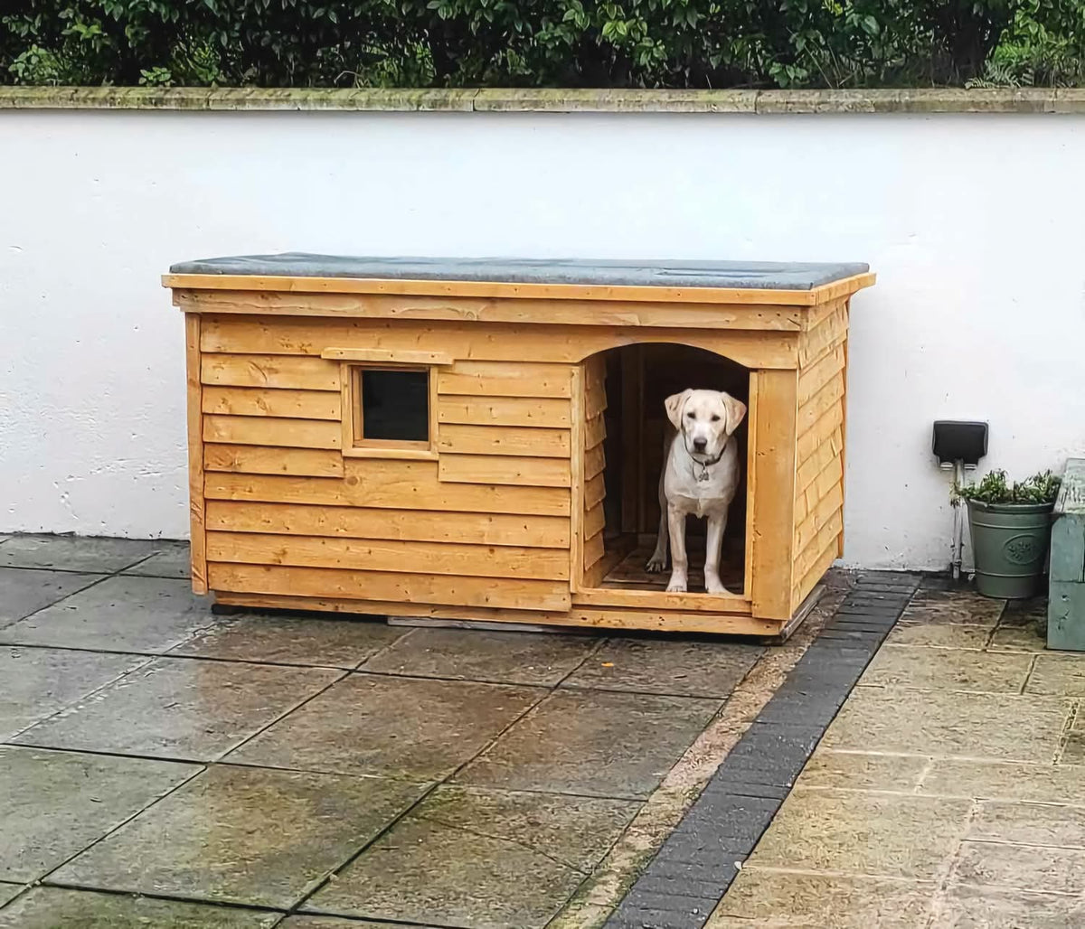 XL Dog Kennel, Comes with a porch and window