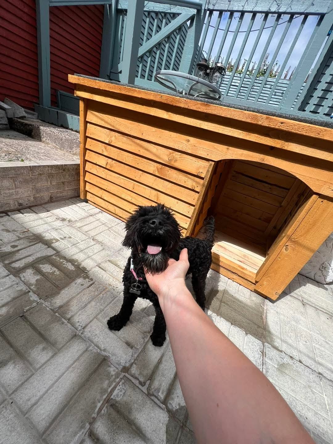 Large Dog Kennel with a porch