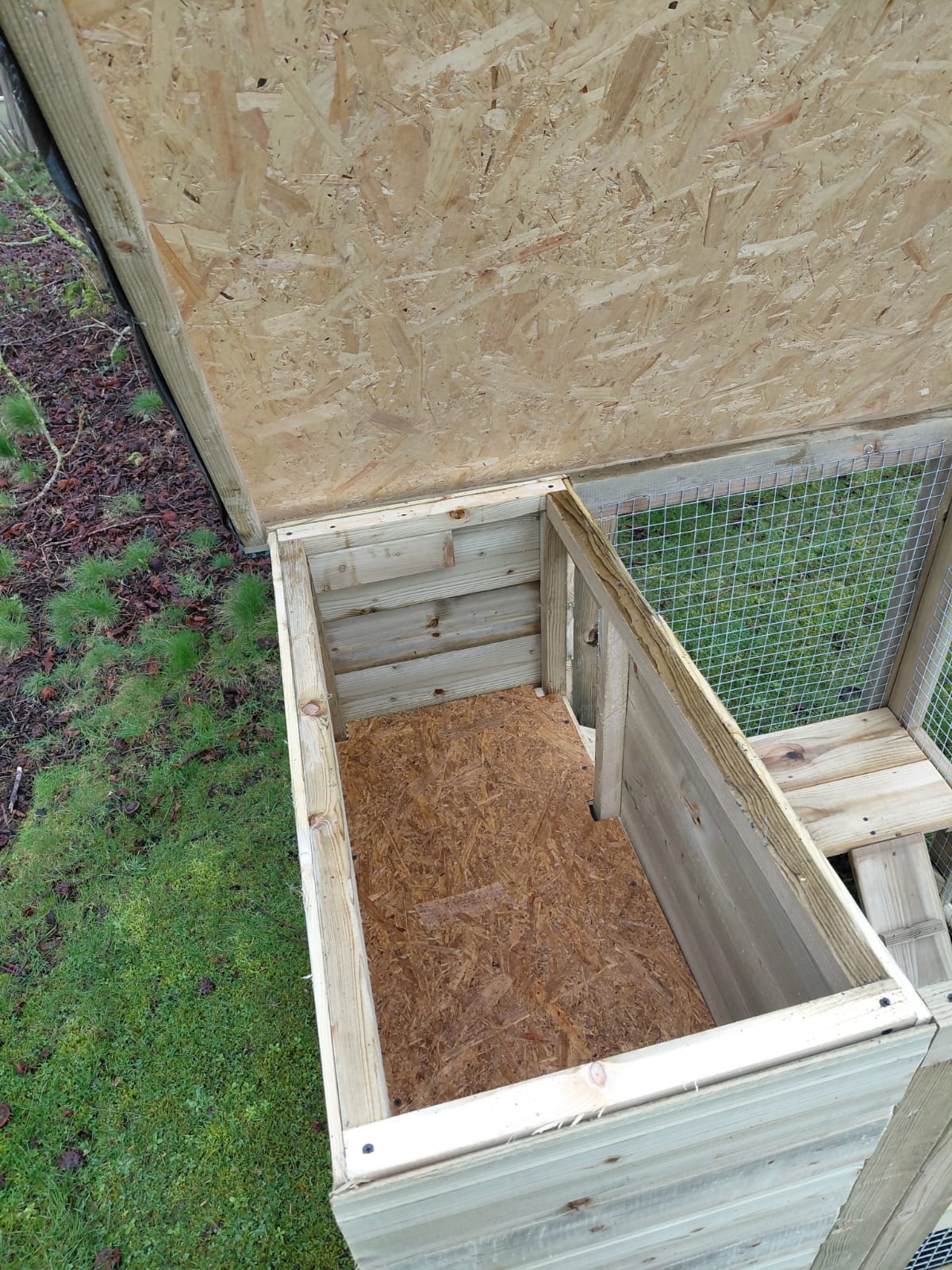 Cattery / Cat house with mesh panels