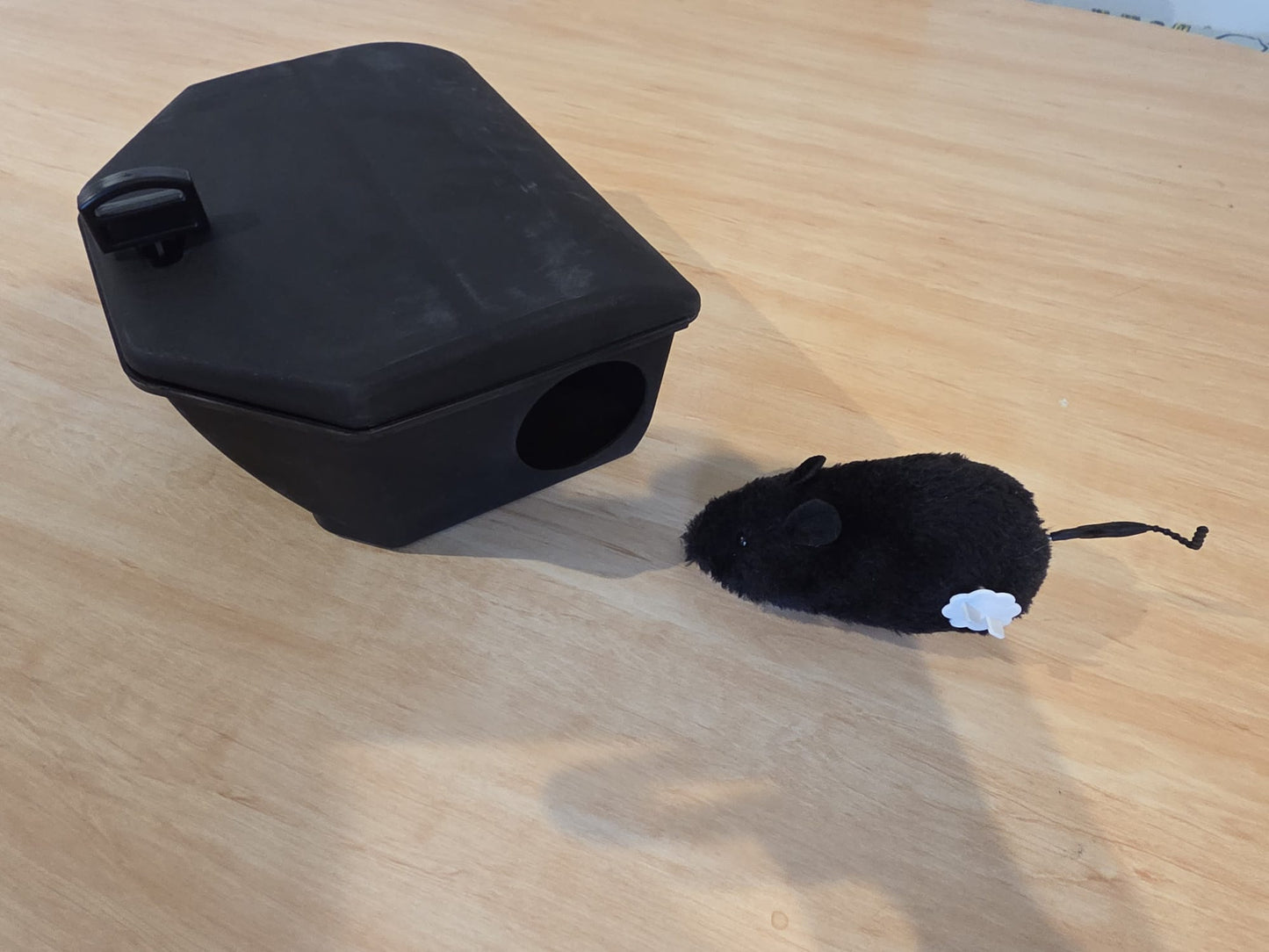 Bait box for Rats